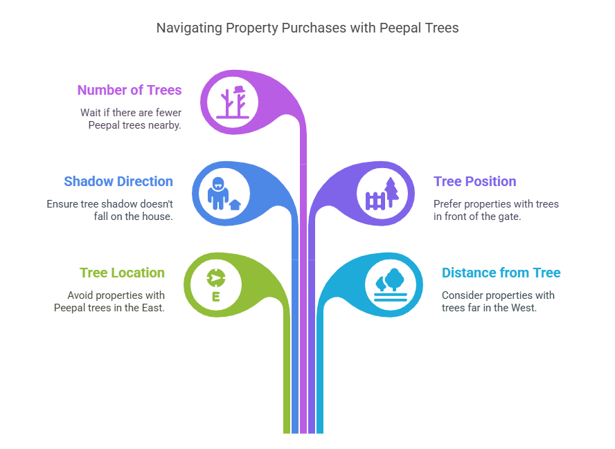 Important things to consider before buying property related to Peepal tree